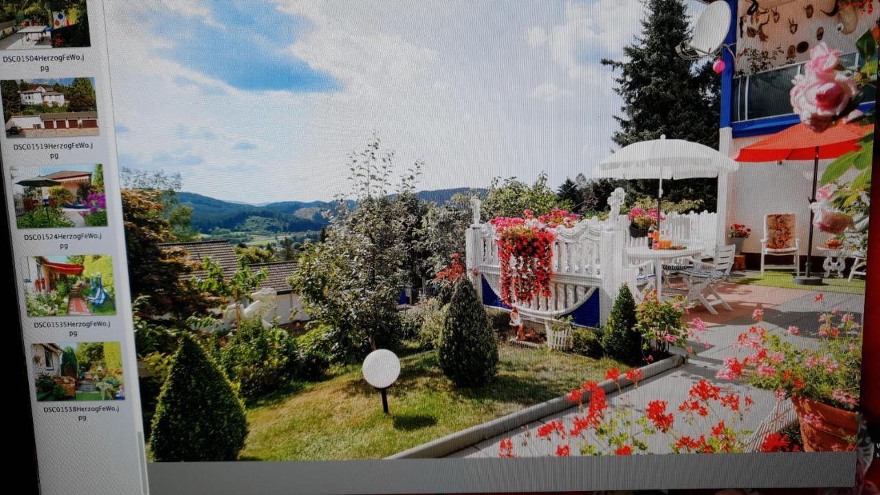 Ferienhaus Haus Herzog Titisee-Neustadt Ngoại thất bức ảnh