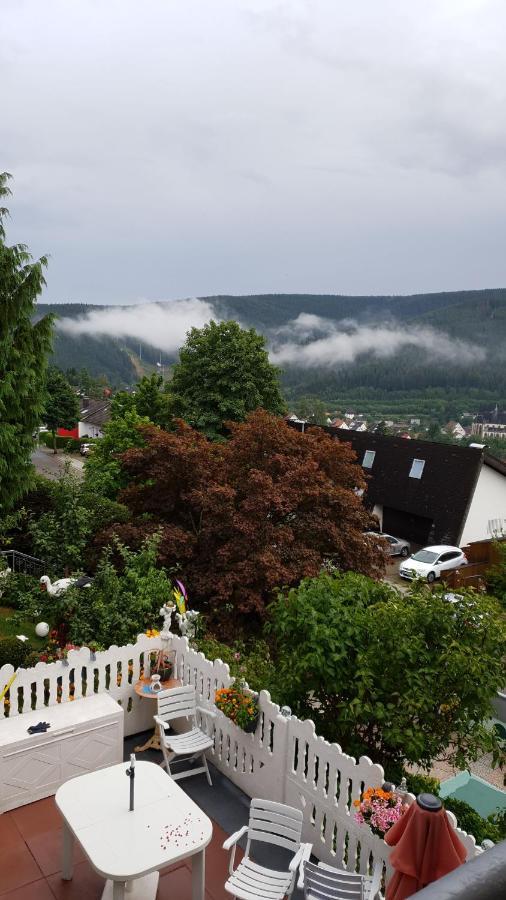 Ferienhaus Haus Herzog Titisee-Neustadt Ngoại thất bức ảnh