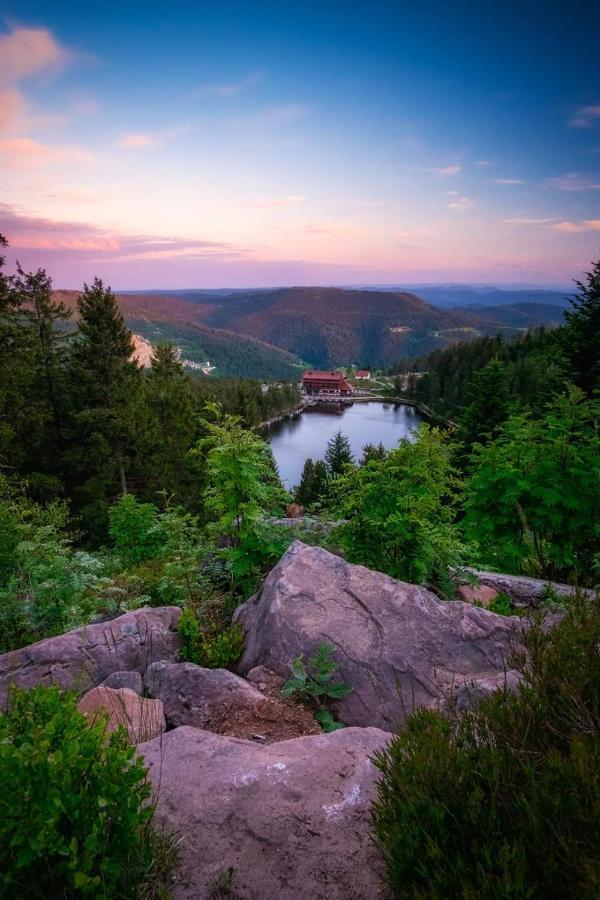 Ferienhaus Haus Herzog Titisee-Neustadt Ngoại thất bức ảnh