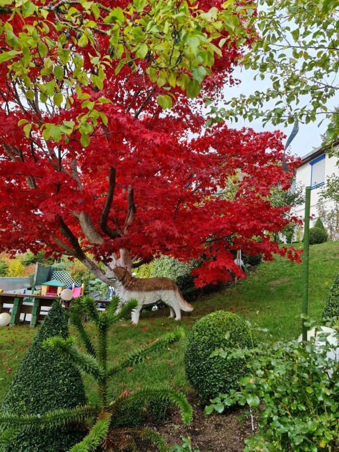 Ferienhaus Haus Herzog Titisee-Neustadt Ngoại thất bức ảnh