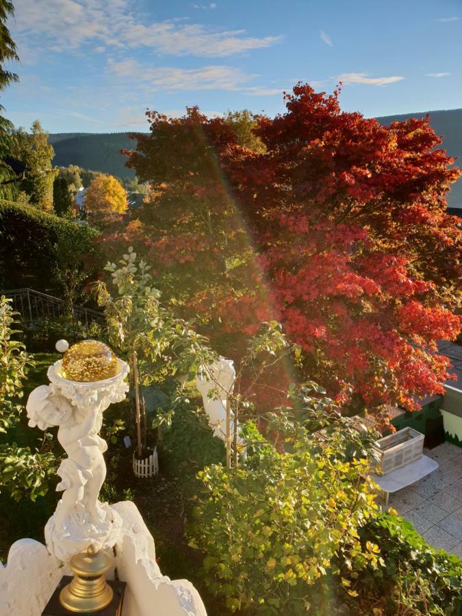 Ferienhaus Haus Herzog Titisee-Neustadt Ngoại thất bức ảnh