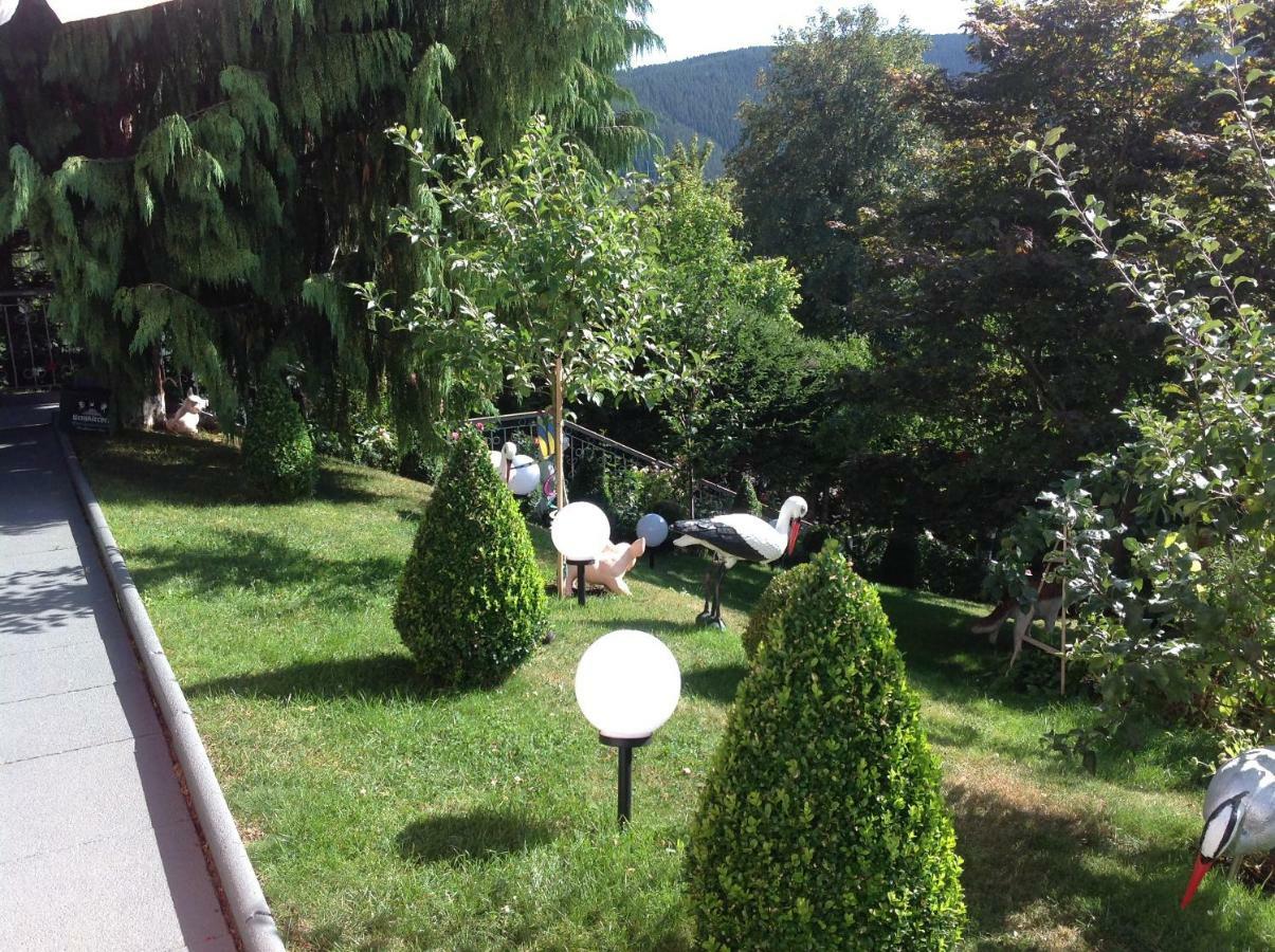 Ferienhaus Haus Herzog Titisee-Neustadt Ngoại thất bức ảnh